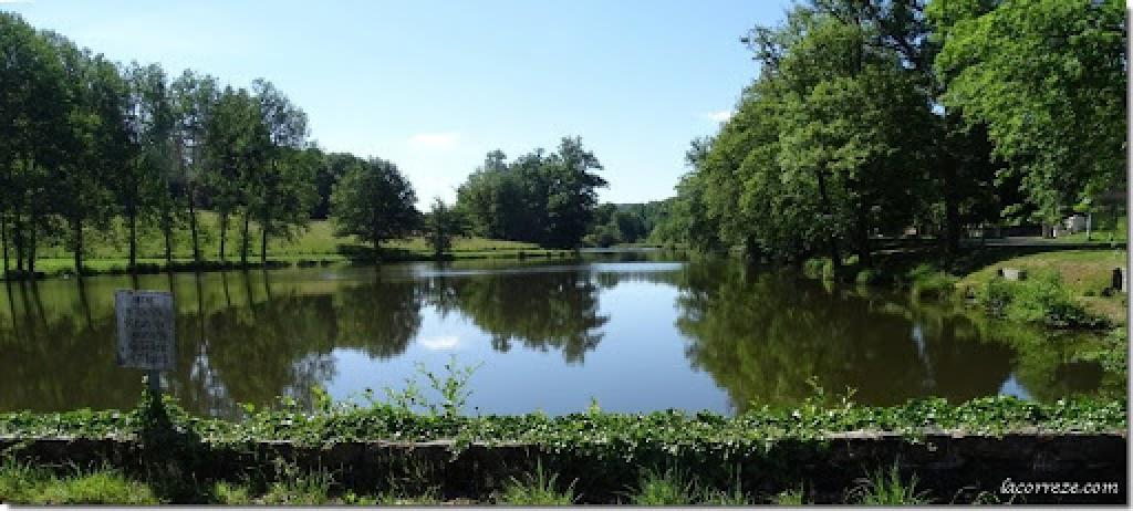 Etang de pêche du Vieux Moulin