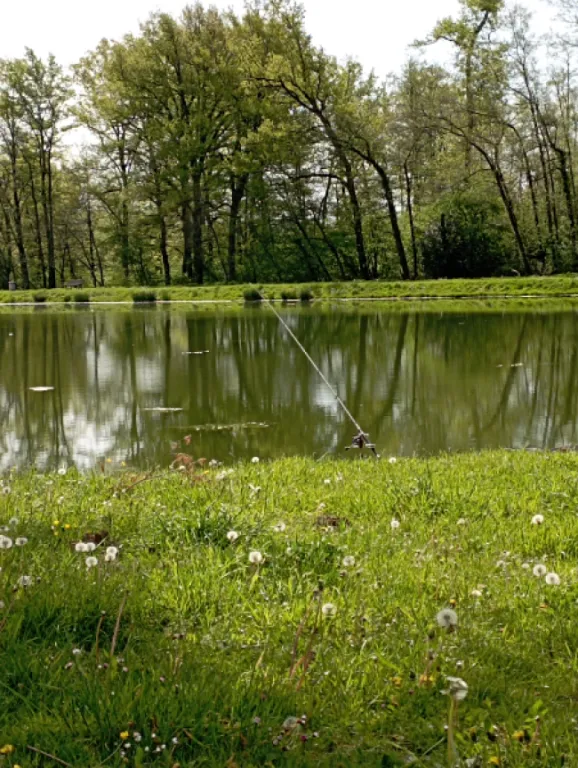 Etang communal de Cronles