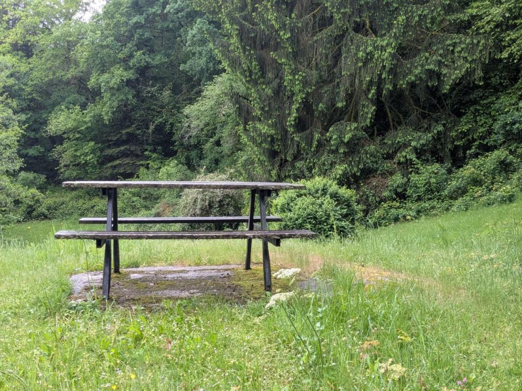 Aire de pique nique du moulin