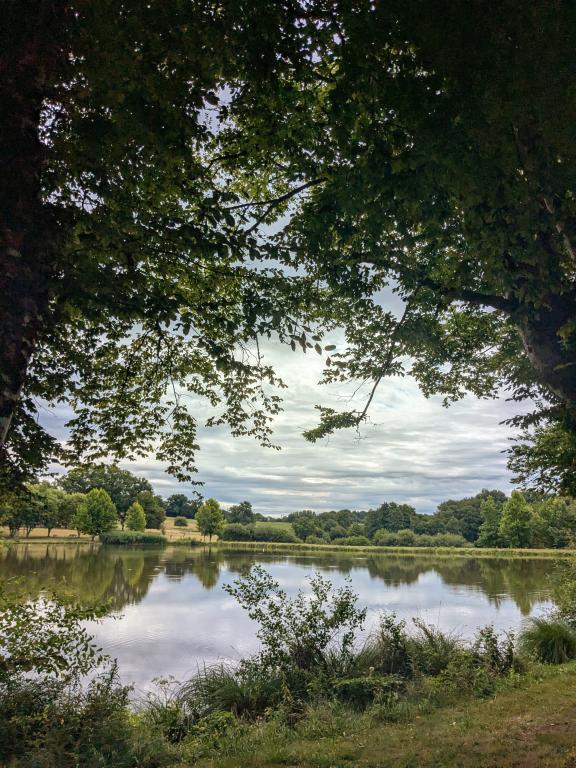 Aire de Pique Nique - Plan d'eau
