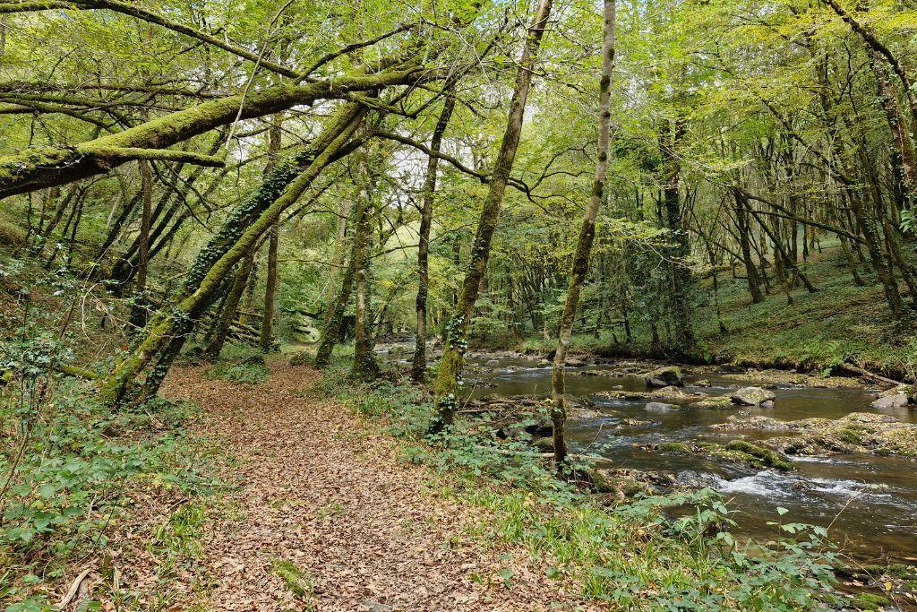 Table de pique-nique, gorges de la Loyre