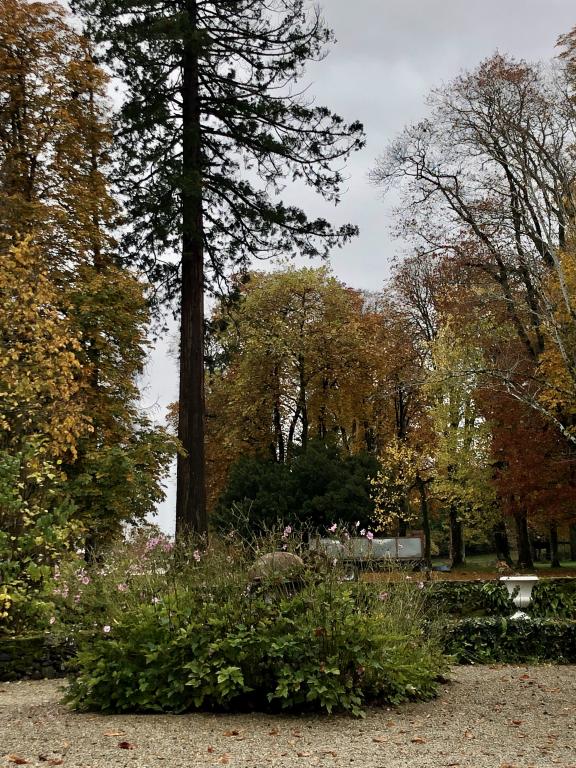 Château de Rilhac-Xaintrie