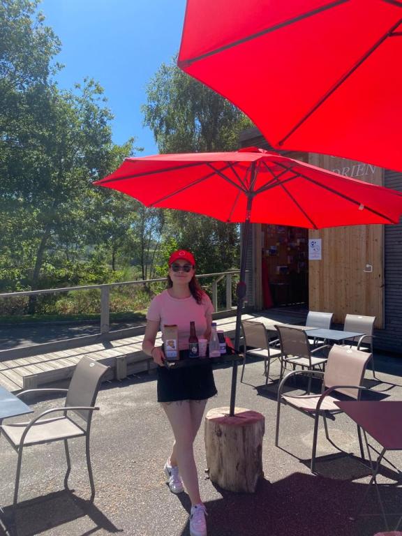 Vestiges gallo-romains des Cars