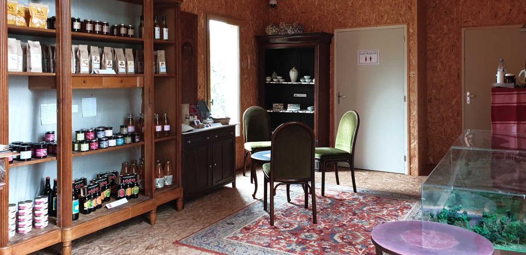 Vestiges gallo-romains des Cars