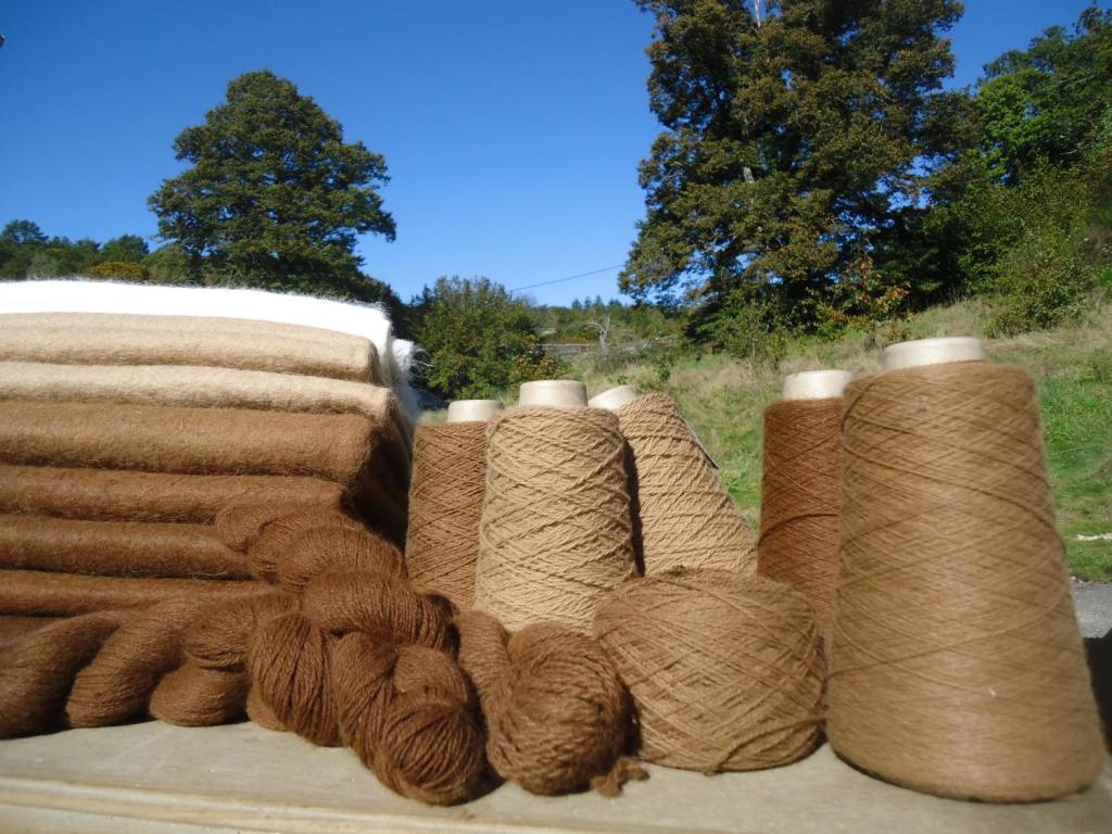 Les Alpagas de la Paneterie