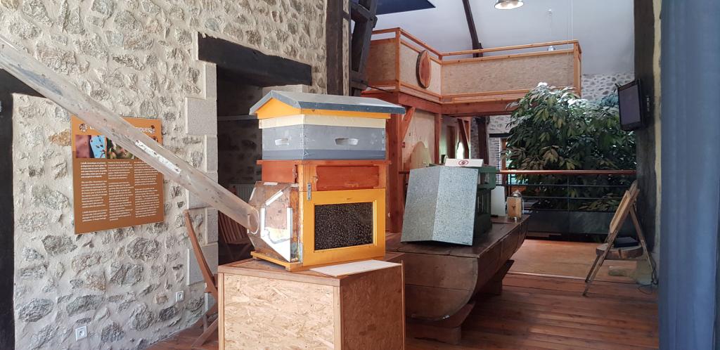 Maison de l'arbre et de la nature