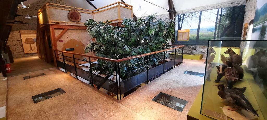 Maison de l'arbre et de la nature