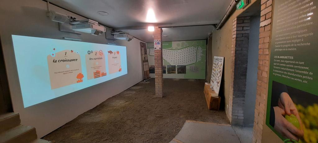 Maison de l'arbre et de la nature