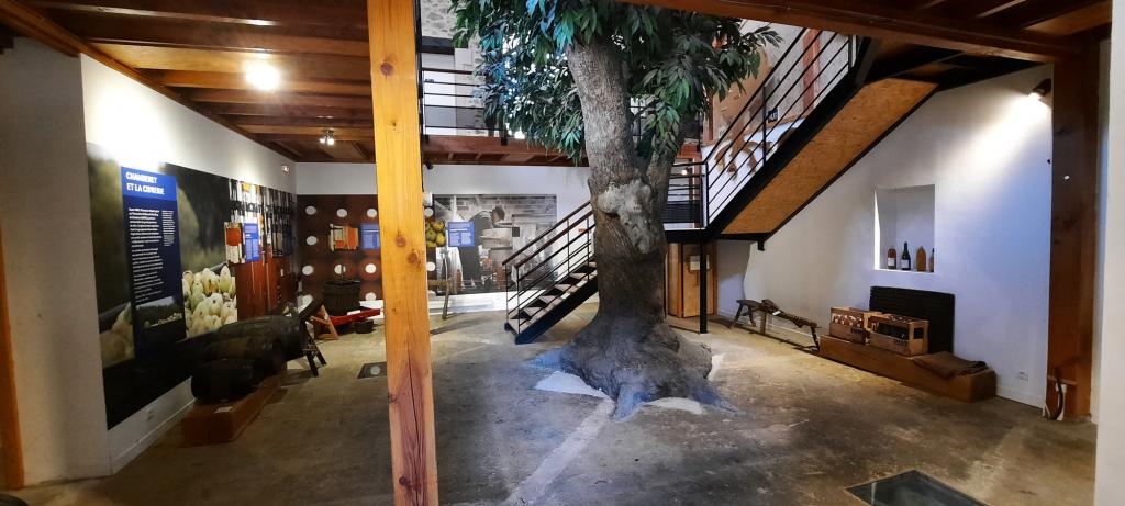 Maison de l'arbre et de la nature