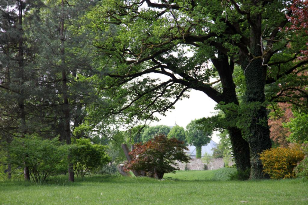 Arboretum du château de Neuvic d'Ussel