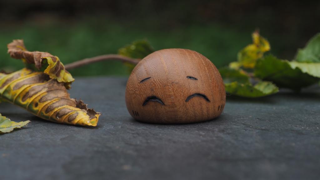 Martin Philippon, Tourneur sur bois