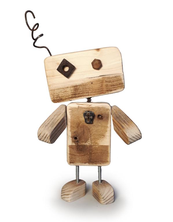 Le bois de la grenouille