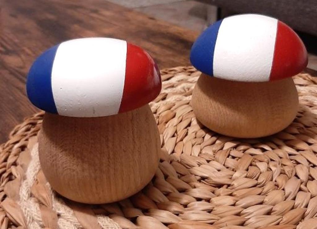 L'univers du champignon