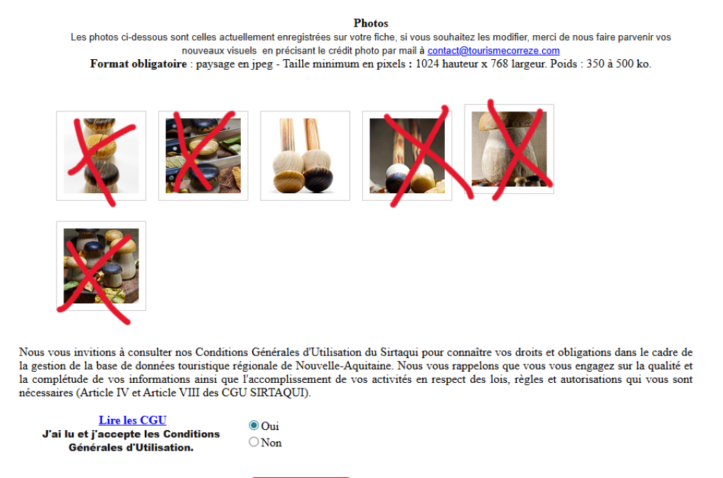 L'univers du champignon