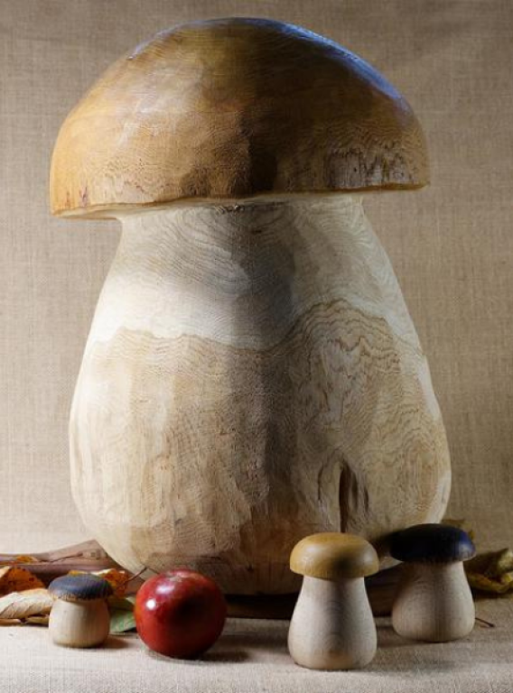 L'univers du champignon