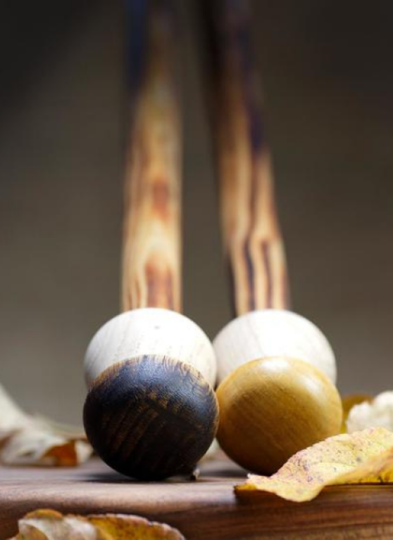 L'univers du champignon