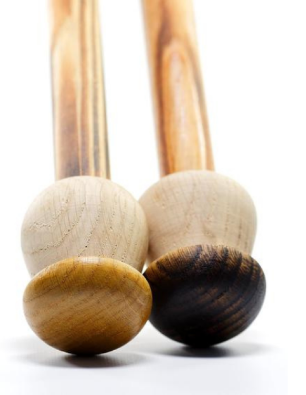 L'univers du champignon