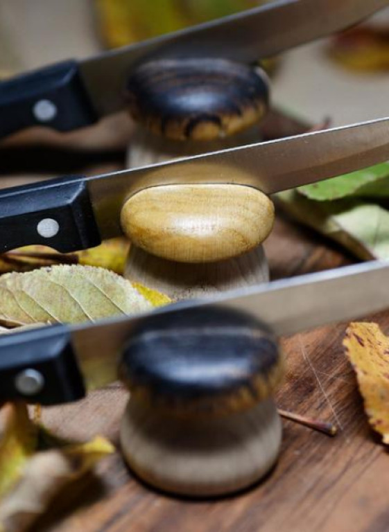 L'univers du champignon