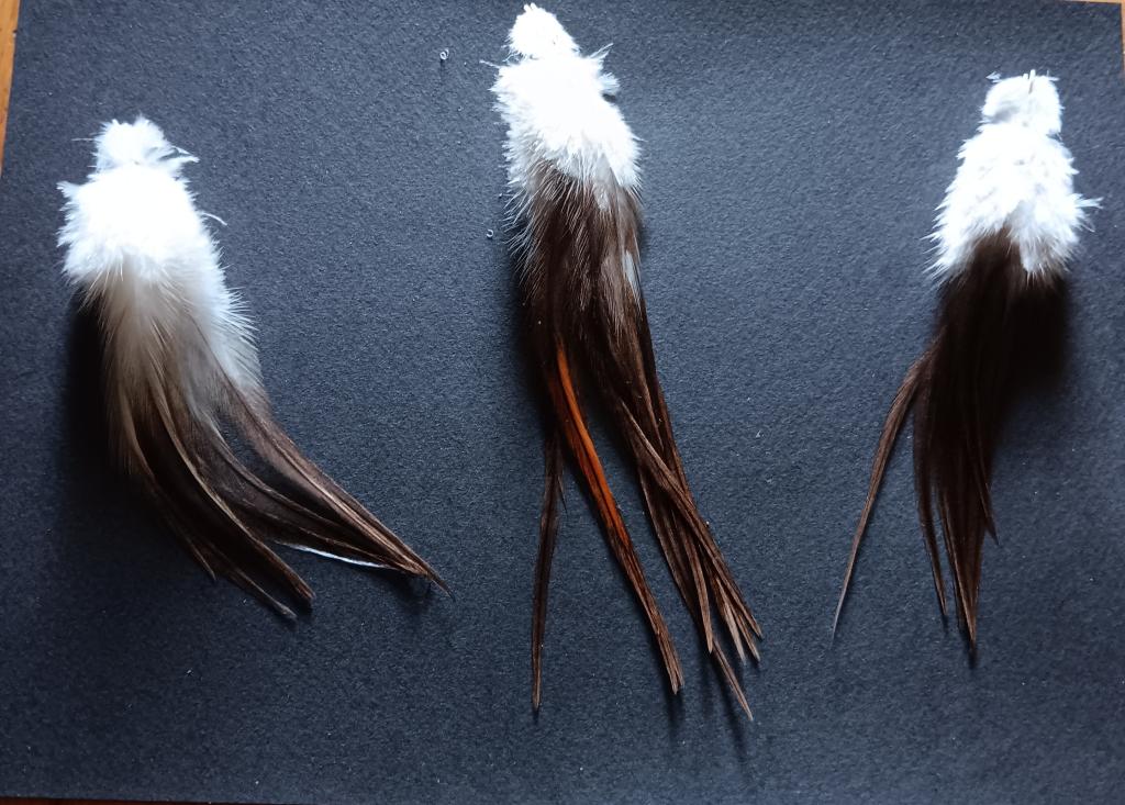 Du coq à la rivière