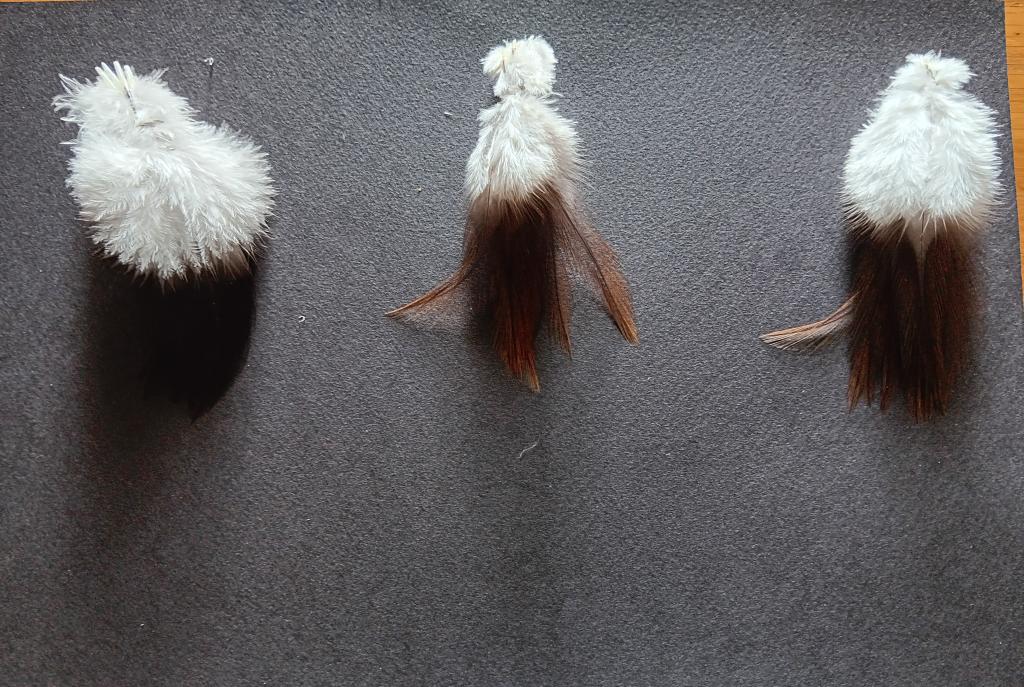 Du coq à la rivière