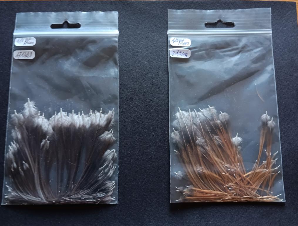 Du coq à la rivière