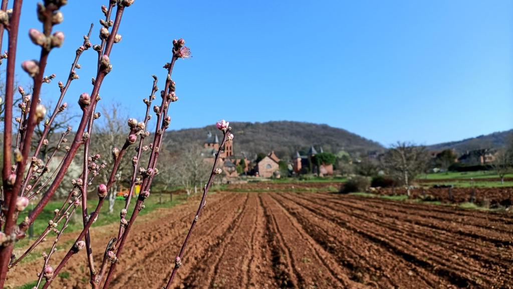Restaurant Le Maraîcher