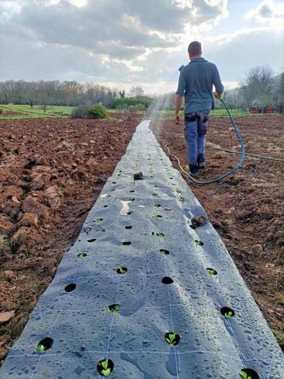 Restaurant Le Maraîcher